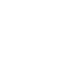 Netzwerktechnik Bukie